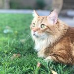Karin Miles Olson - @karinmilesols - Instagram
