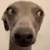 karin - @karinmoon1 - TikTok