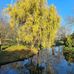 Karin Moser - Facebook