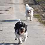 Karin Moser - @moserkarin - Instagram
