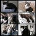 Karin Moser - Facebook
