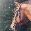 karinamoser84 - @karinamoser84 - TikTok