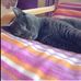 Karin Nemeth - Facebook