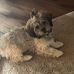 Karin Nowak - Facebook