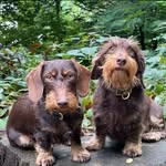 Karin Nowak - @karin.nowak.779 - Instagram