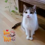 Karin Nowak - @karin.nowak.37 - Instagram