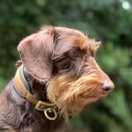 Karin Nowak - @karinnowak40 - Instagram