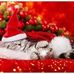Karin Nowak - Facebook