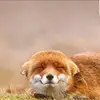 susisunshine - @karinobermeier - TikTok