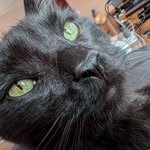 Karin Oliver-Kreft - @koliverkreft - Instagram