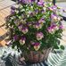 Karin Olsen - Facebook