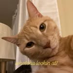 Karin Parsons - @kekeibinks66 - Instagram