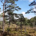 Karin Pedersen - @karin.pedersen2 - Instagram