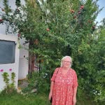 Karin Pedersen - @karin.pedersen.3939 - Instagram