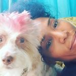 Karin Perry - @krockperry - Instagram