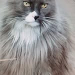 Karin Post - @karinpost055 - Instagram
