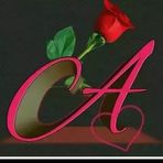 Karin Puckett - Facebook