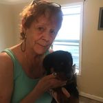 Karin Quinn Gemmell - @karingemmell - Instagram