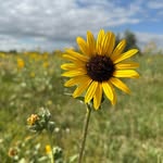 Karin Reimer-Mullen - @themullen6 - Instagram