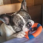 Karin Reimers - @karin_reimers - Instagram