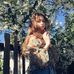 Karin Robertson - Facebook