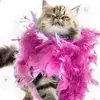karinrobertson7 - @karinrobertson7 - TikTok