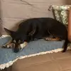 karinrooneypols - @karinrooneypols - TikTok