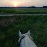 Karin Kristiansson Roos Af Hjelmsäter - @karinroosaf - Instagram