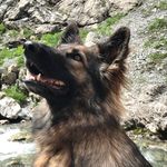 Karin Rupp - @ruppkarin_ - Instagram