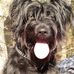 Karin Rupp - Facebook