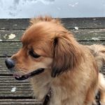 Karin Ruppert - @karin.ruppert.908 - Instagram