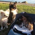 Karin Sagen - @karin.sagen - Instagram