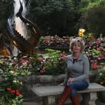 Karin Scott Cook - @karincook8777 - Instagram