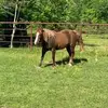karinscott39 - @karinscott39 - TikTok