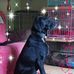 Karin Shawver - Facebook