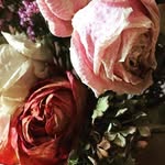 K A R I N    S H E A - @shea.karin - Instagram
