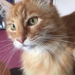 Karen Shipley - @karen_shipley - Instagram