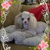 Karen Sigler-Winegeart - Facebook
