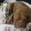 karinsolomon8 - @karinsolomon8 - TikTok