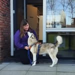 Karin Steele-Konings - @barkingmad.dogs - Instagram