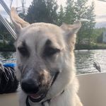 Karin Stevens - @karinsfamilylifeadventures - Instagram