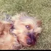 Karin Stevens - @karin.stevens2 - TikTok