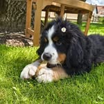 Karin Straßer - @karinstr21 - Instagram