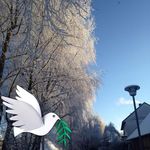 Karin Elisabeth Strauss - @karinstrauss57 - Instagram