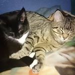 Karin Strauß - @karinstrauss66 - Instagram