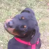 karinstrauss69 - @karinstrauss69 - TikTok