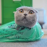 Karin Terry - @terrykarin - Instagram