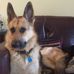 Karin Terry - Facebook