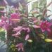 Karin Troedsson - Facebook