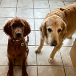 Karin Tucker Wilmot - @karin_nicol - Instagram